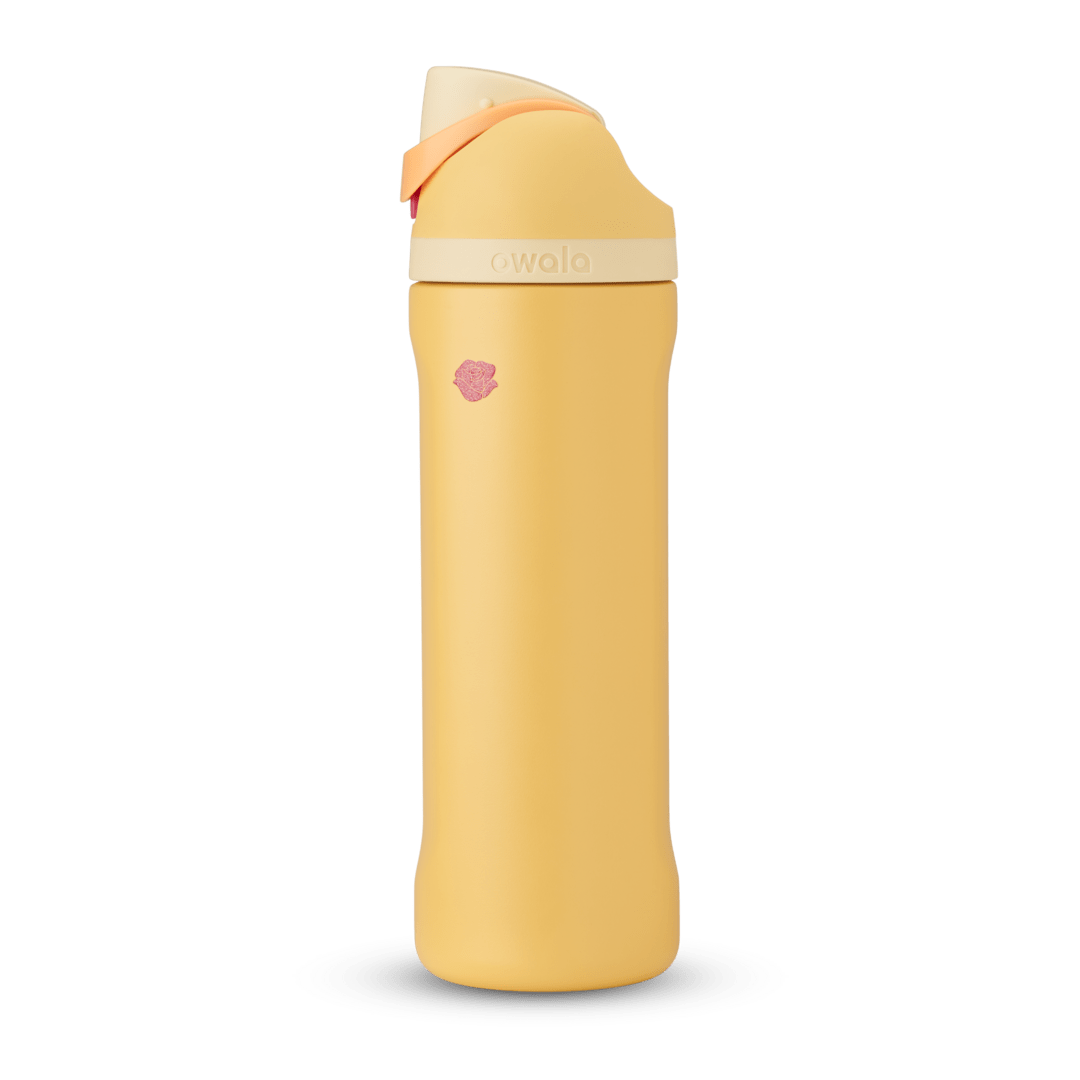 Disney Princess Collection - Image 8